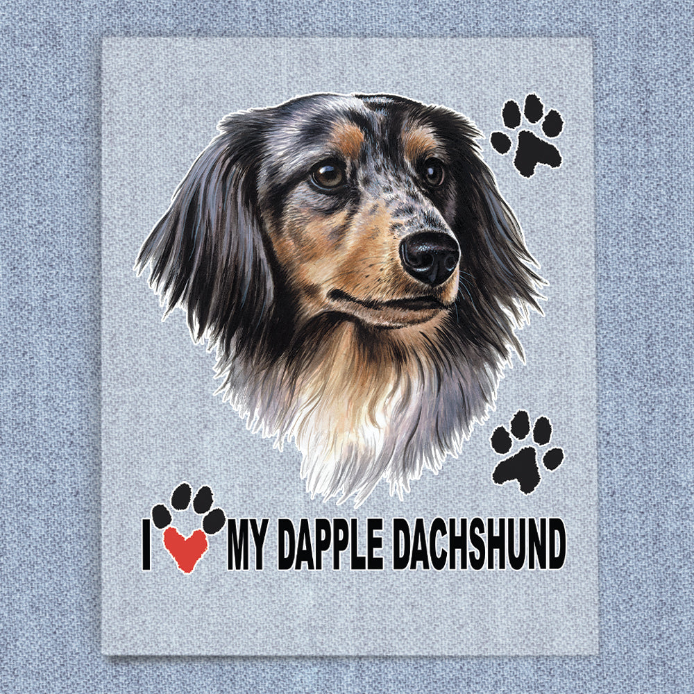 Dapple Dachshund