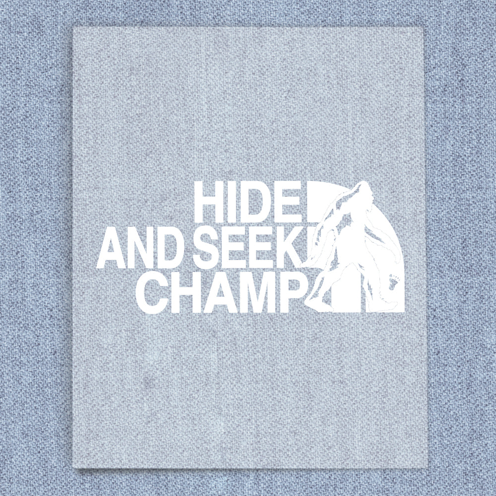 Hide and Seek Champ