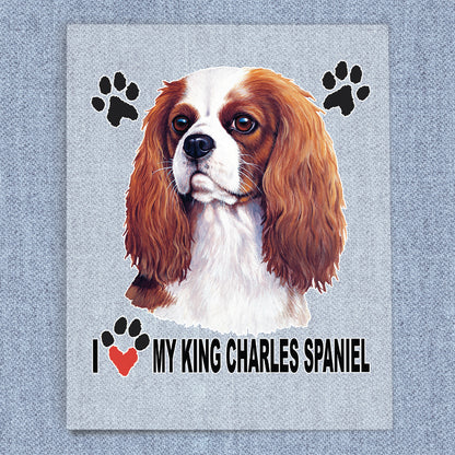 King Charles Spaniel