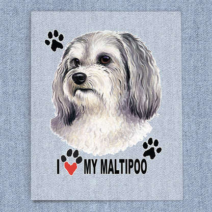 Maltipoo