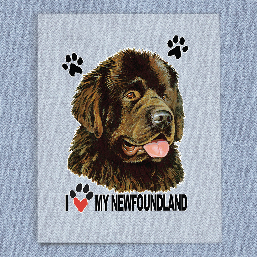 Newfoundland