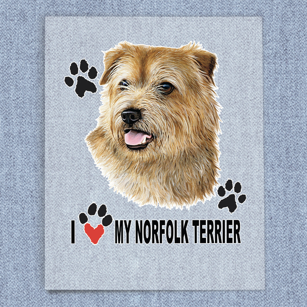 Norfolk Terrier