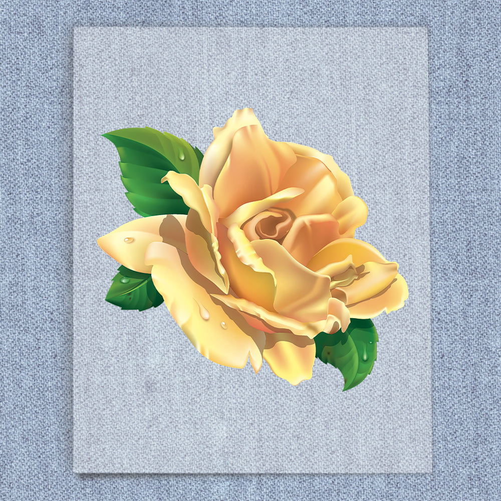 Yellow Rose